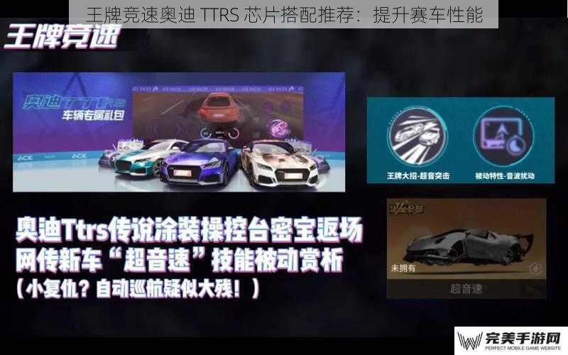 王牌竞速奥迪 TTRS 芯片搭配推荐：提升赛车性能