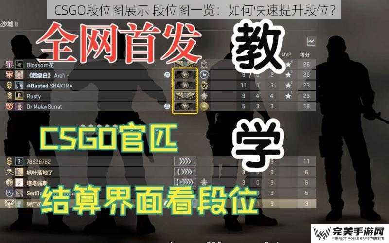 CSGO段位图展示 段位图一览：如何快速提升段位？