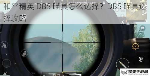 和平精英 DBS 瞄具怎么选择？DBS 瞄具选择攻略