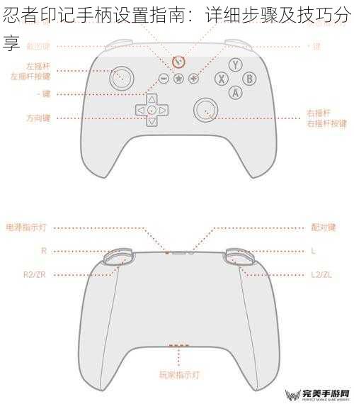 忍者印记手柄设置指南：详细步骤及技巧分享