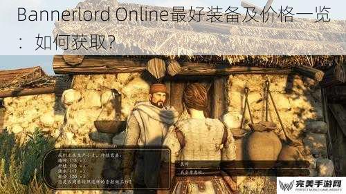 Bannerlord Online 最好装备及价格一览：如何获取？