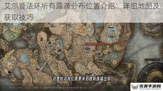 艾尔登法环所有露滴分布位置介绍：详细地图及获取技巧