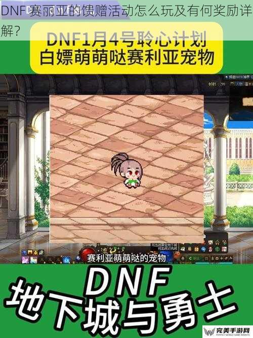 DNF 赛丽亚的馈赠活动怎么玩及有何奖励详解？