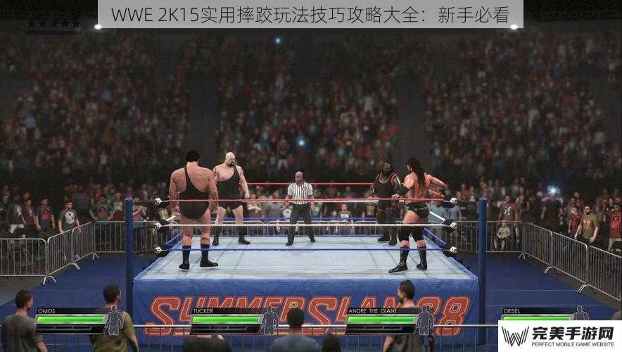 WWE 2K15实用摔跤玩法技巧攻略大全：新手必看