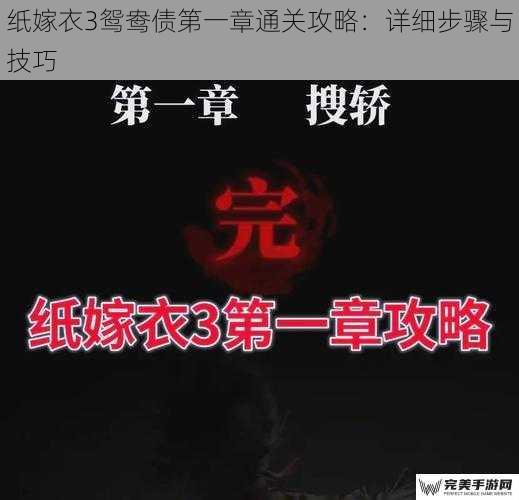 纸嫁衣3鸳鸯债第一章通关攻略：详细步骤与技巧