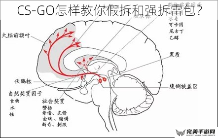 CS-GO怎样教你假拆和强拆雷包？