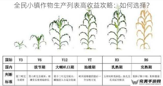 全民小镇作物生产列表高收益攻略：如何选择？