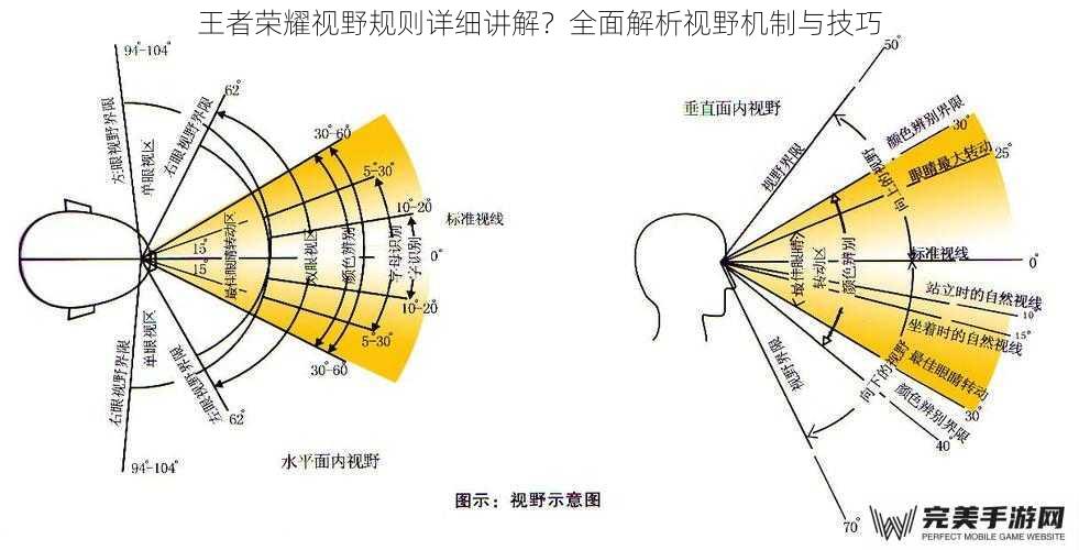 王者荣耀视野规则详细讲解？全面解析视野机制与技巧