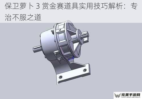 保卫萝卜 3 赏金赛道具实用技巧解析：专治不服之道