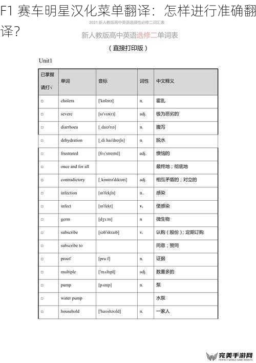 F1 赛车明星汉化菜单翻译：怎样进行准确翻译？