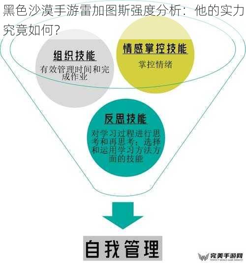 技能特点：多样且强力