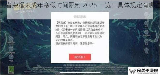 王者荣耀未成年寒假时间限制 2025 一览：具体规定有哪些？