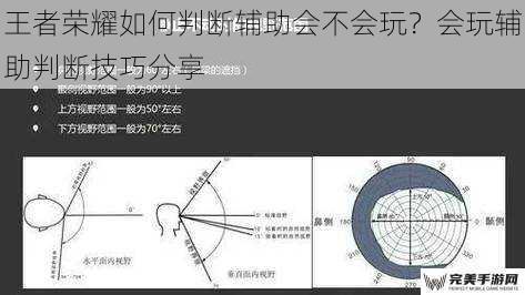 王者荣耀如何判断辅助会不会玩？会玩辅助判断技巧分享