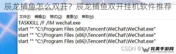 辰龙捕鱼怎么双开？辰龙捕鱼双开挂机软件推荐