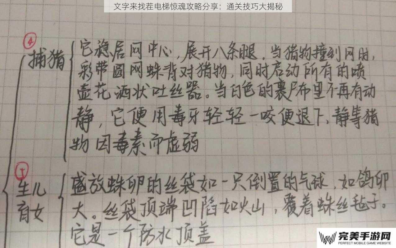 文字来找茬电梯惊魂攻略分享：通关技巧大揭秘