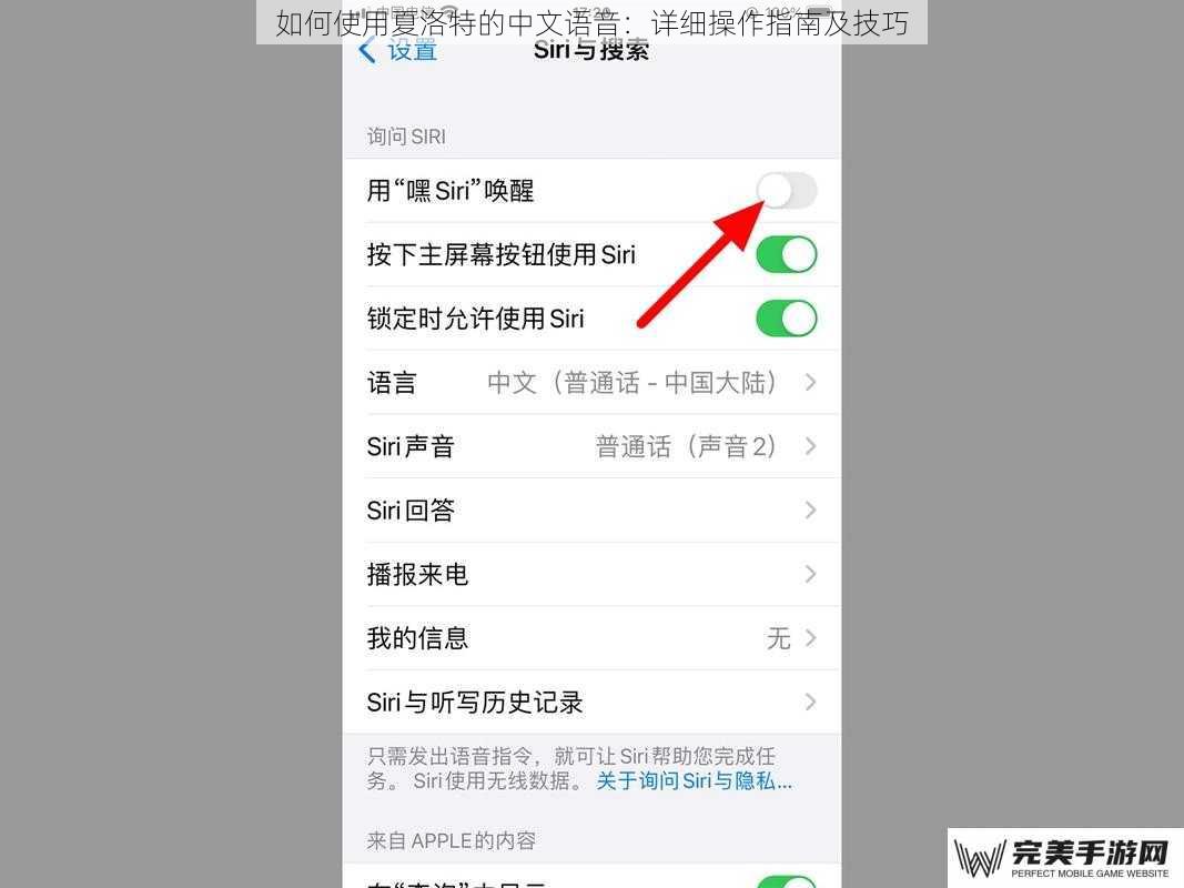 如何使用夏洛特的中文语音：详细操作指南及技巧