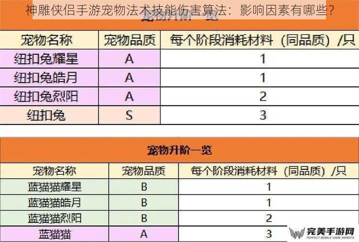 神雕侠侣手游宠物法术技能伤害算法：影响因素有哪些？