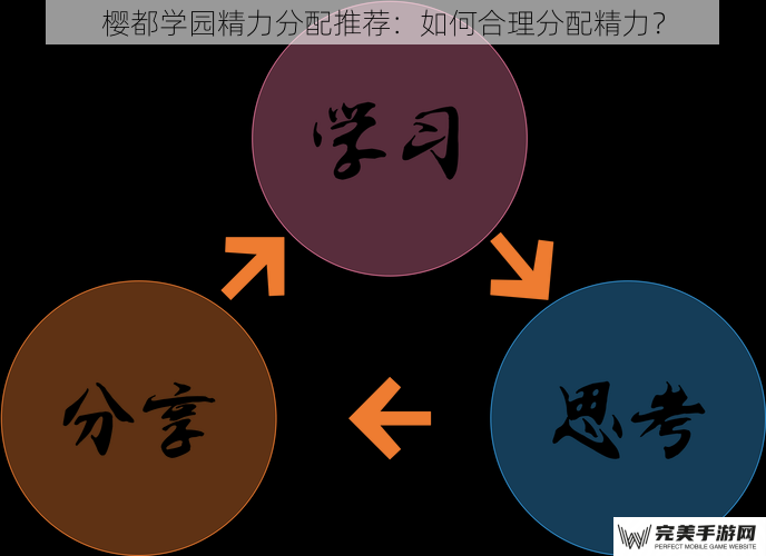 樱都学园精力分配推荐：如何合理分配精力？