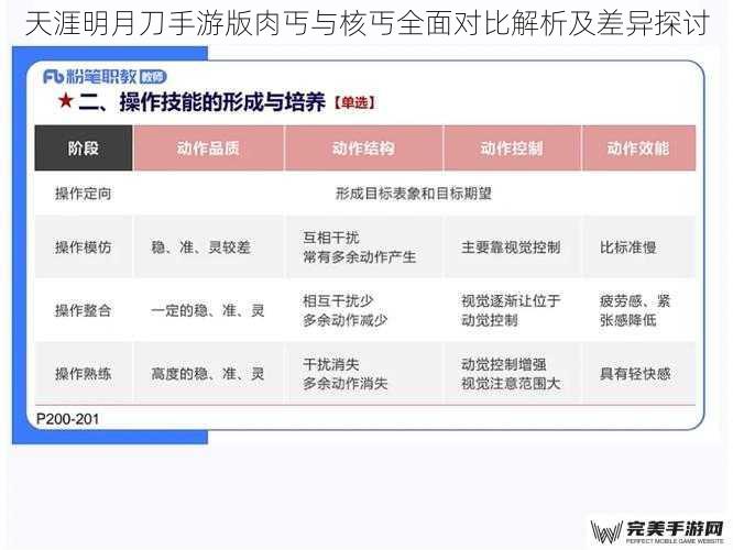 天涯明月刀手游版肉丐与核丐全面对比解析及差异探讨