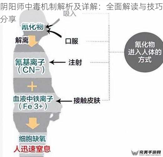 阴阳师中毒机制解析及详解：全面解读与技巧分享