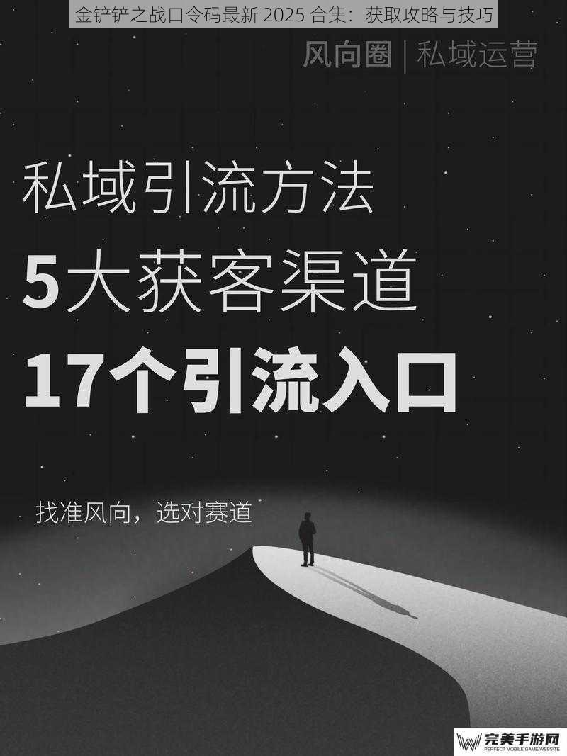 金铲铲之战口令码最新 2025 合集：获取攻略与技巧