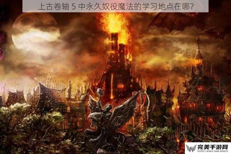 上古卷轴 5 中永久奴役魔法的学习地点在哪？