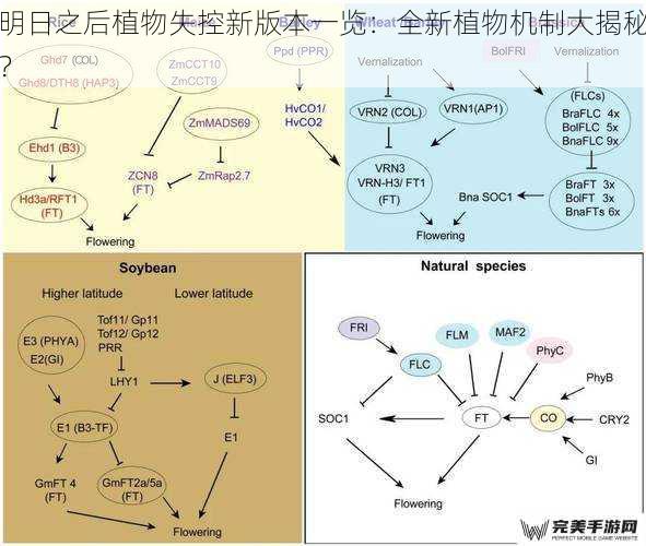 明日之后植物失控新版本一览：全新植物机制大揭秘？