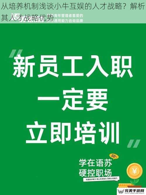 从培养机制浅谈小牛互娱的人才战略？解析其人才战略优势