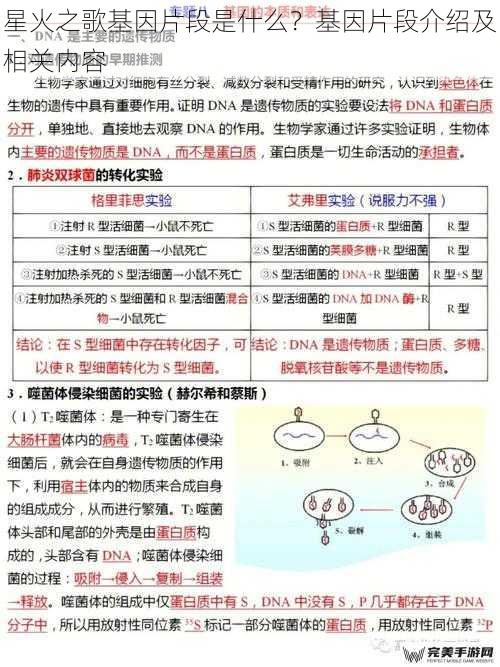 星火之歌基因片段是什么？基因片段介绍及相关内容