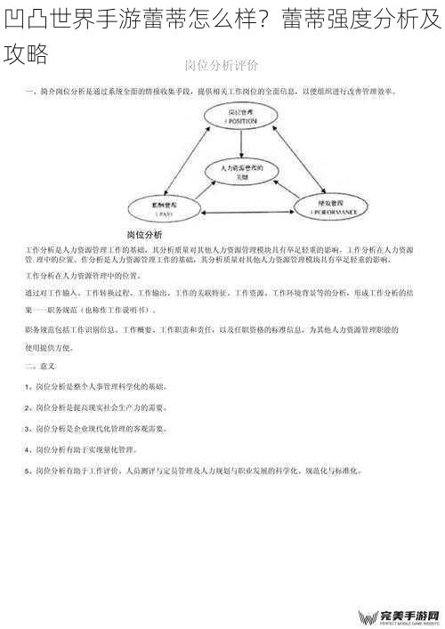 凹凸世界手游蕾蒂怎么样？蕾蒂强度分析及攻略