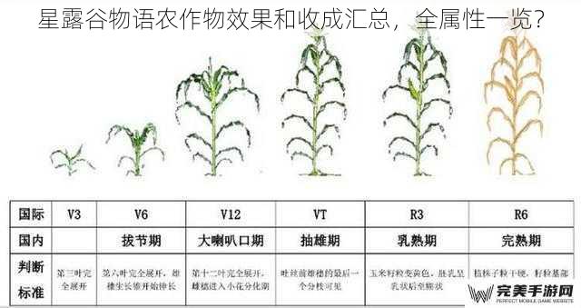 农作物生长周期