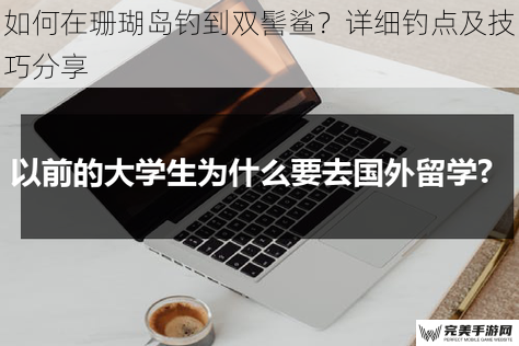 如何在珊瑚岛钓到双髻鲨？详细钓点及技巧分享