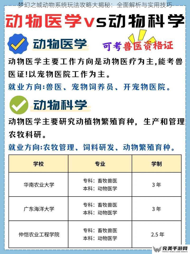 梦幻之城动物系统玩法攻略大揭秘：全面解析与实用技巧