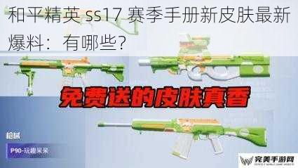 和平精英 ss17 赛季手册新皮肤最新爆料：有哪些？