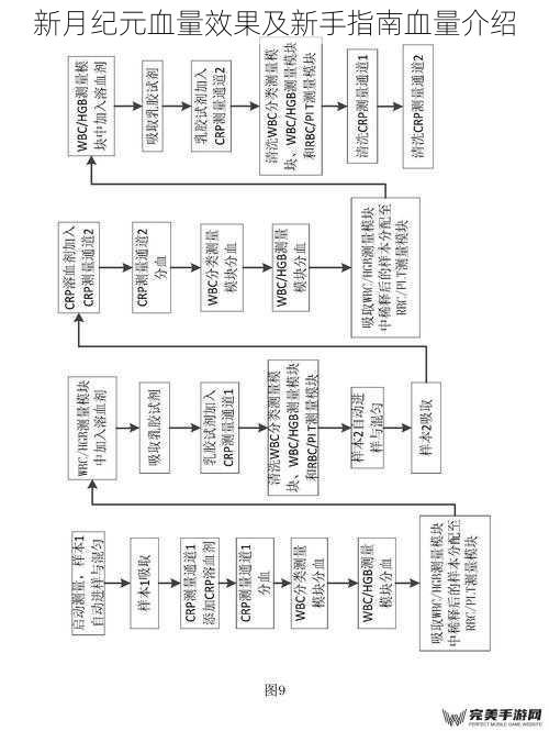 新月纪元血量效果及新手指南血量介绍