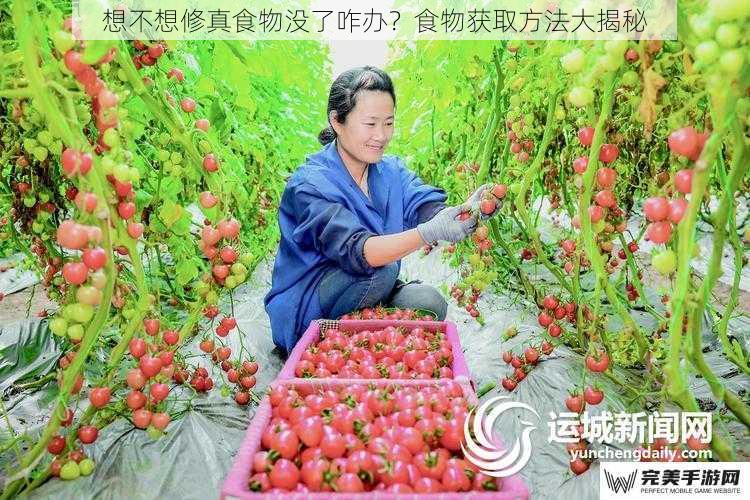 想不想修真食物没了咋办？食物获取方法大揭秘