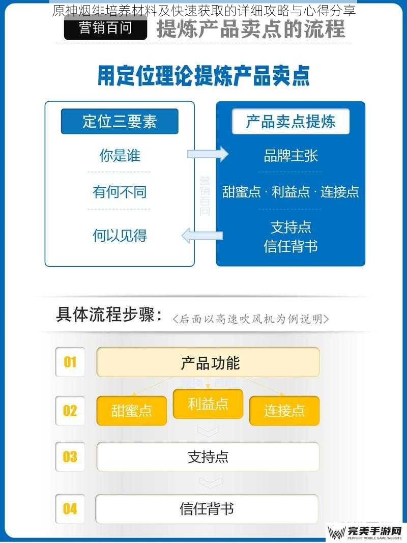 角色定位与需求分析