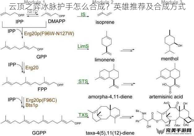 合成材料及途径