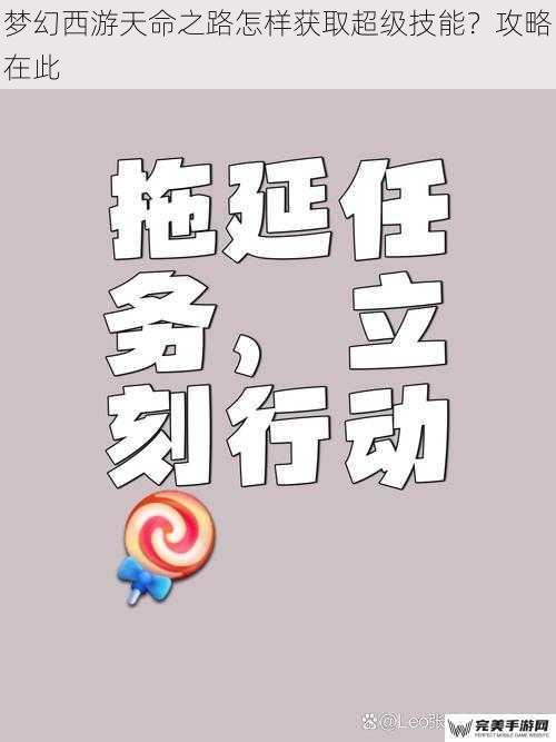 梦幻西游天命之路怎样获取超级技能？攻略在此