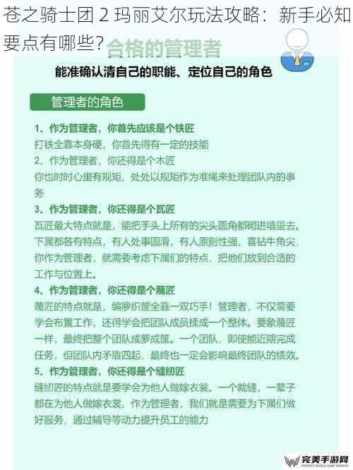 苍之骑士团 2 玛丽艾尔玩法攻略：新手必知要点有哪些？