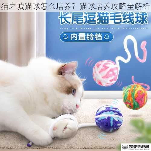 猫之城猫球怎么培养？猫球培养攻略全解析