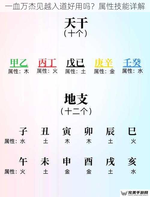 基础属性分析