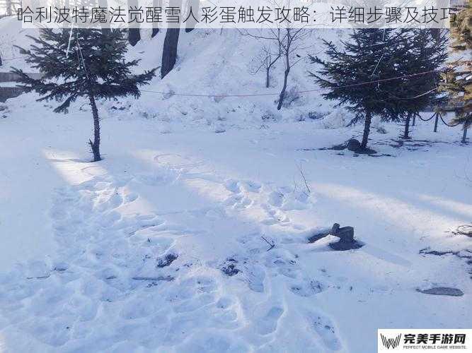 寻找神秘的雪地图标