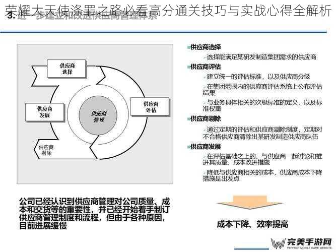 职业定位与队伍配置：构建高效输出循环