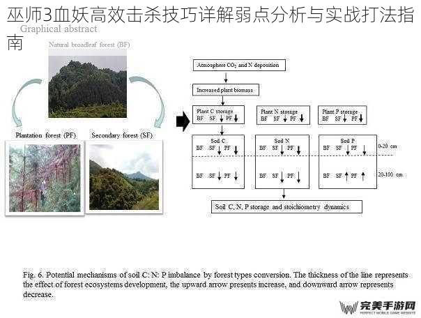 巫师3血妖高效击杀技巧详解弱点分析与实战打法指南