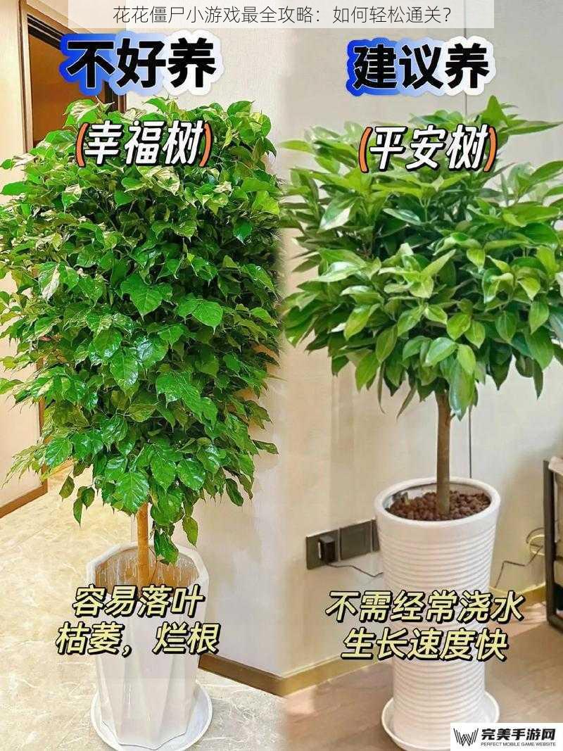 选择合适的植物