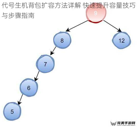 代号生机背包扩容方法详解 快速提升容量技巧与步骤指南