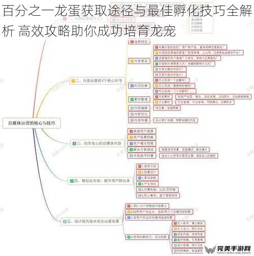 百分之一龙蛋获取途径与最佳孵化技巧全解析 高效攻略助你成功培育龙宠