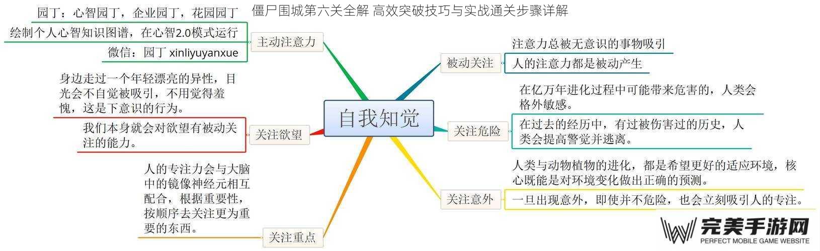 关卡机制解析：掌握核心规则