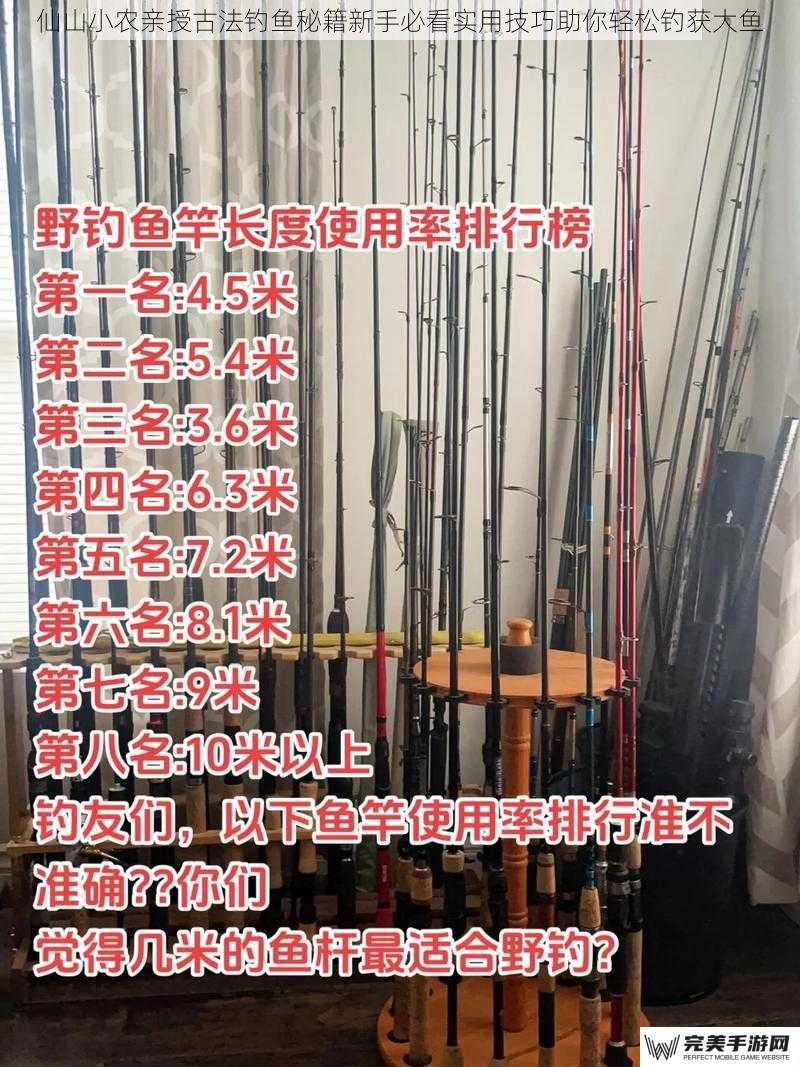 古法钓鱼的三大核心工具选择  